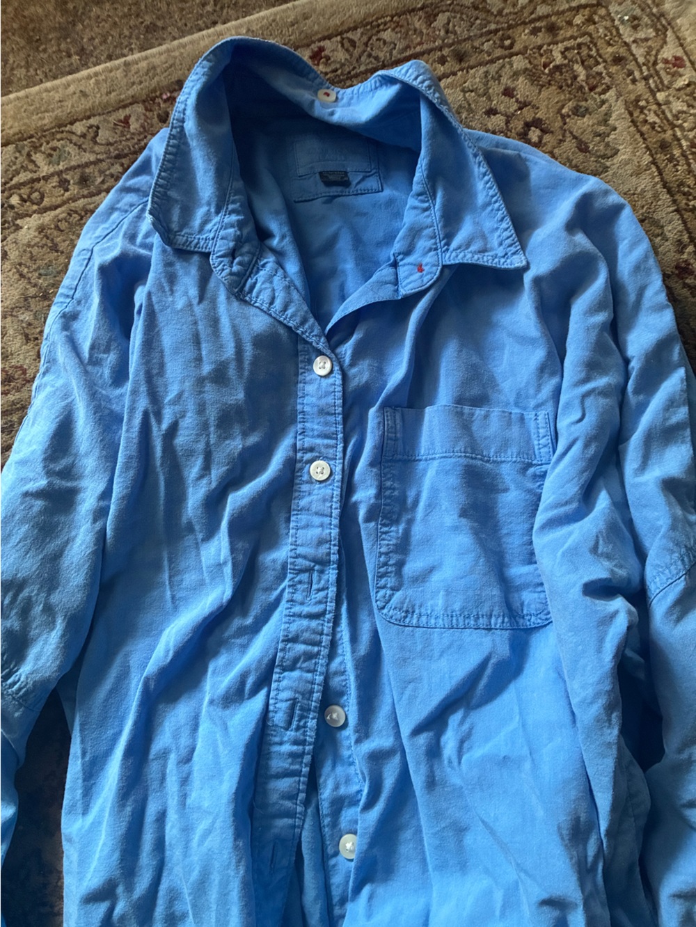 American Eagle Outfitters Blue Button-Down Shirt